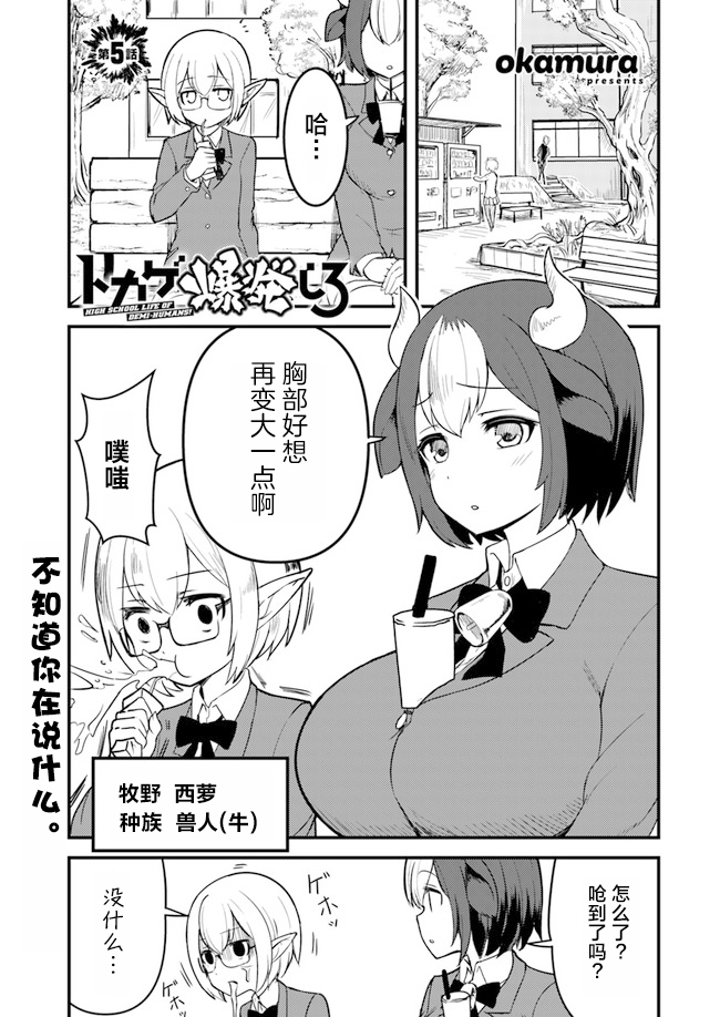 爆炸吧游乐豆邀请码漫画,第5话1图