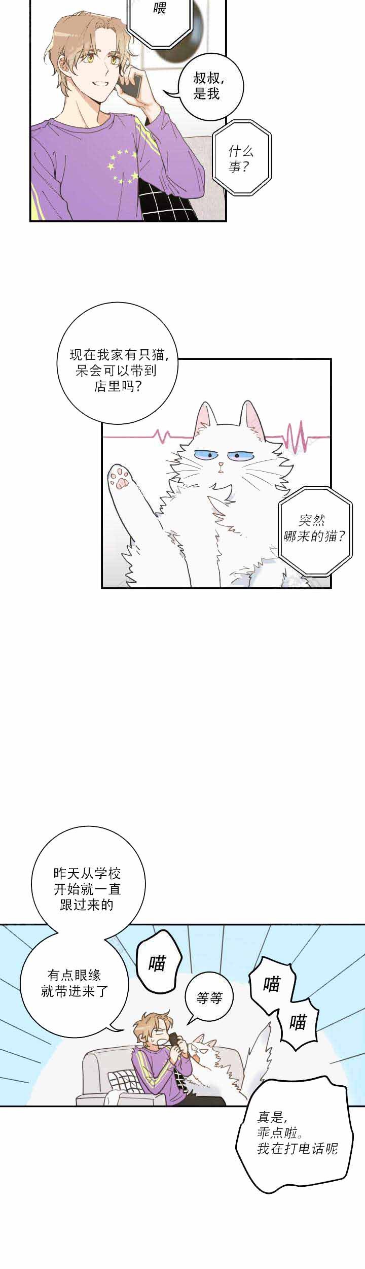 我唯一的猫猫漫画免费漫画,第6话4图