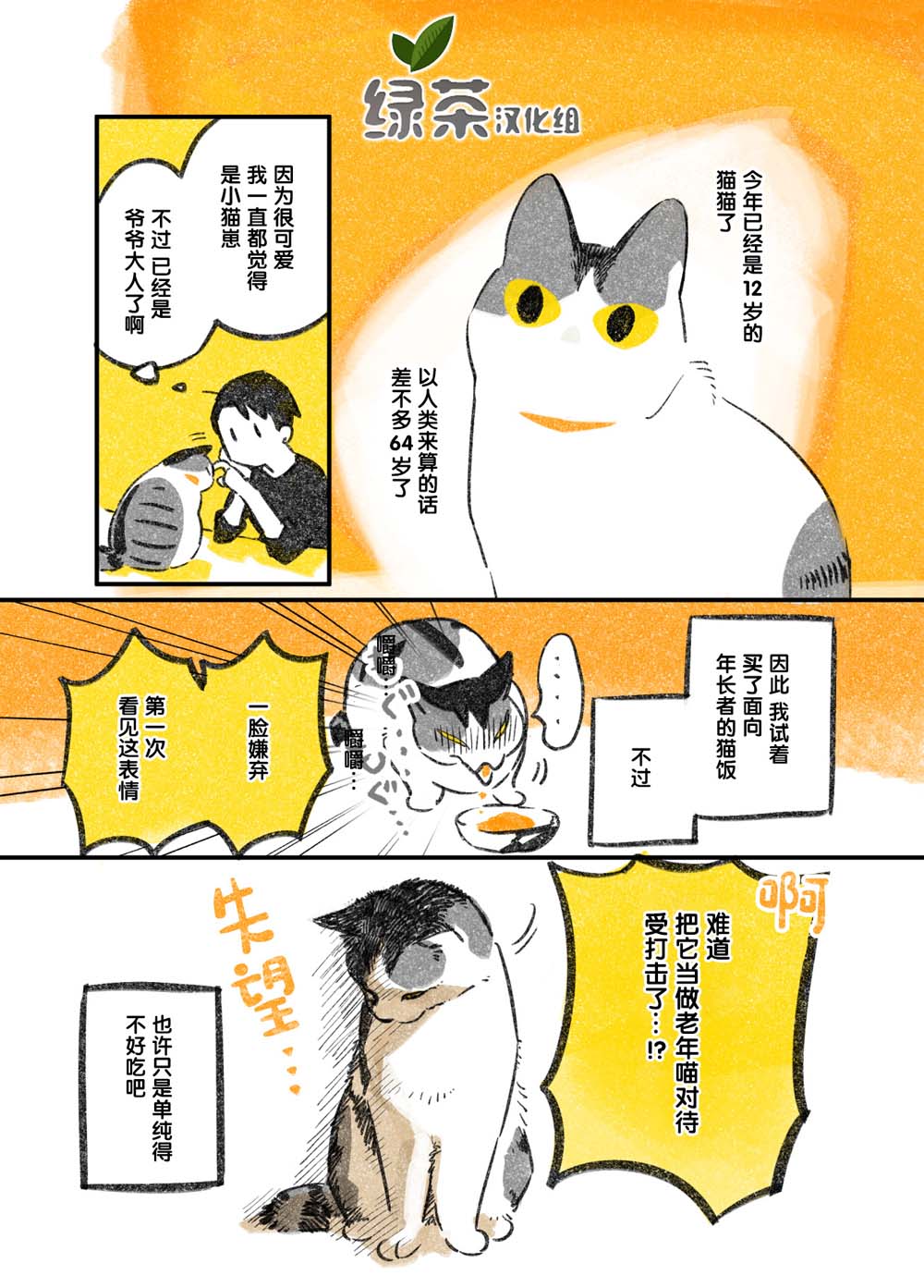 和猫在一起生活的日记漫画,第3话1图