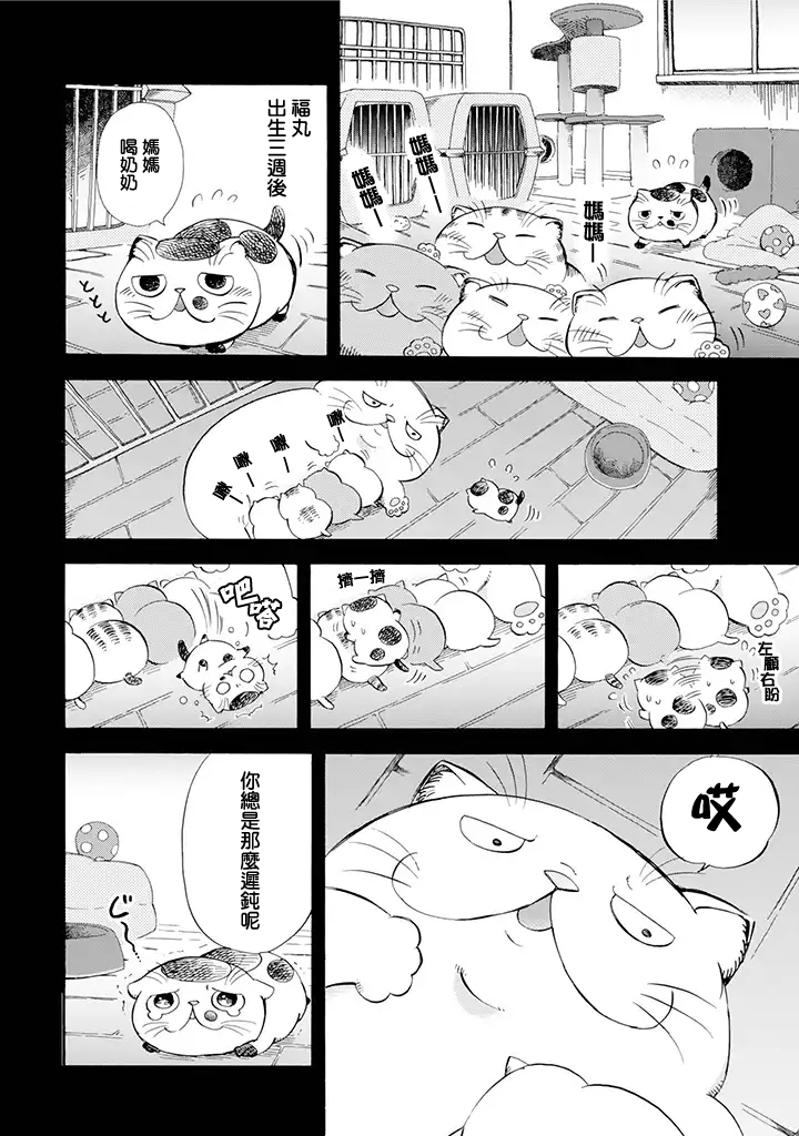 大叔与猫漫画,第8话2图