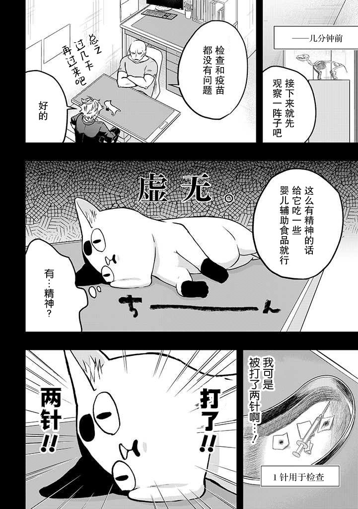 被遗弃的小猫咪与原黑道漫画,第7话3图