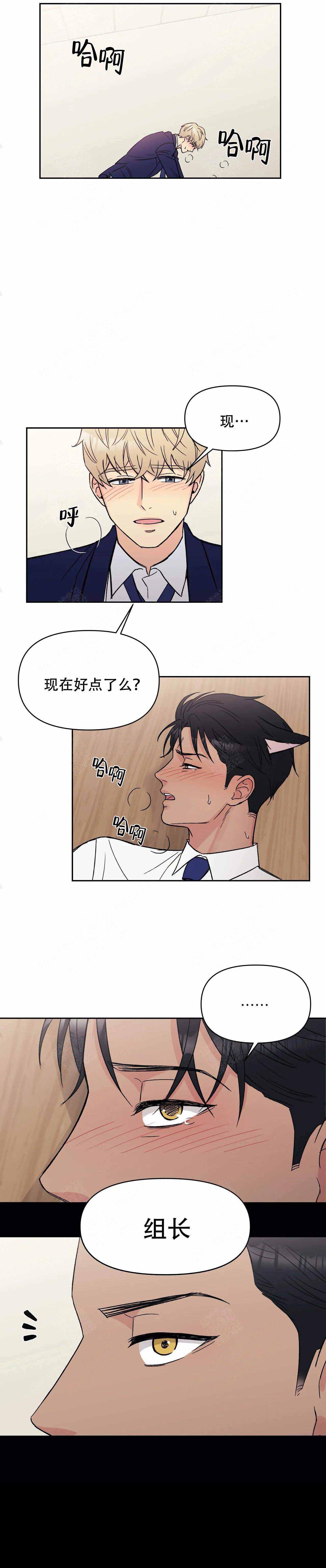 奇怪的组长第十话漫画,第10话4图