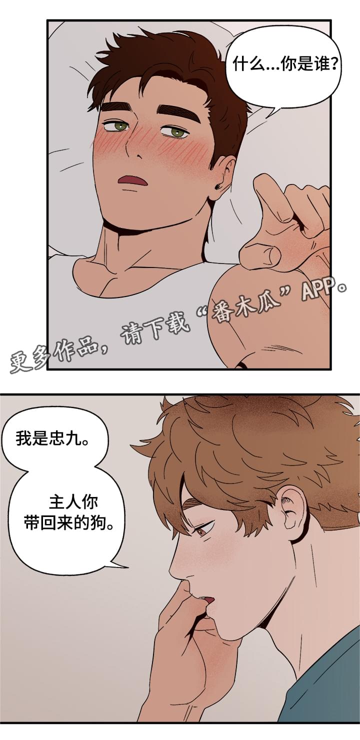 爱宠攻略漫画,第8章：我是人5图