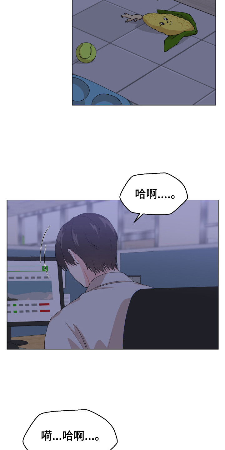 荒唐的愿望漫画,第1话2图