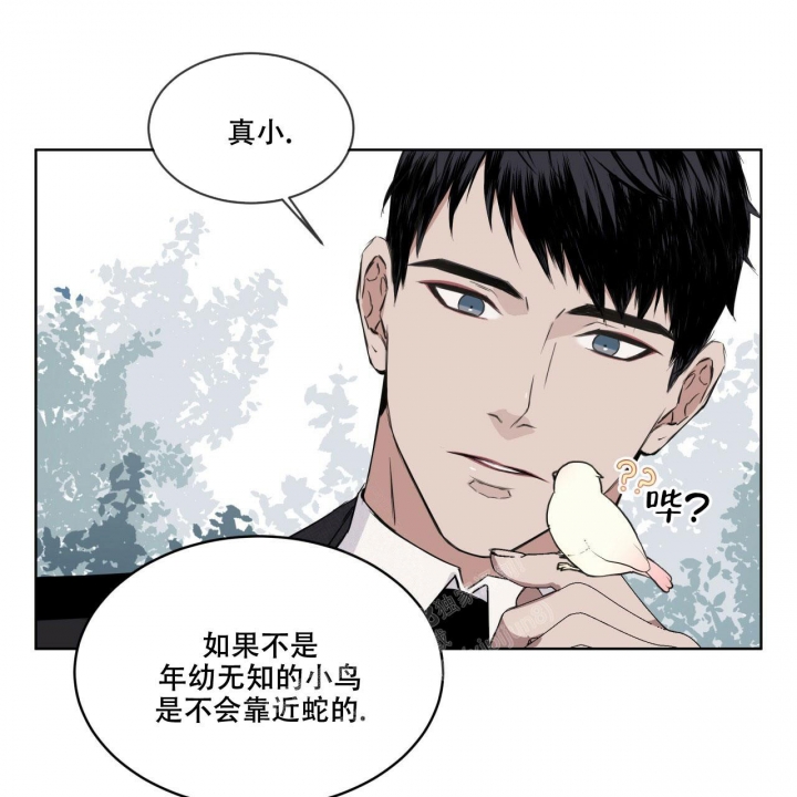 森林之海漫画,第6话5图