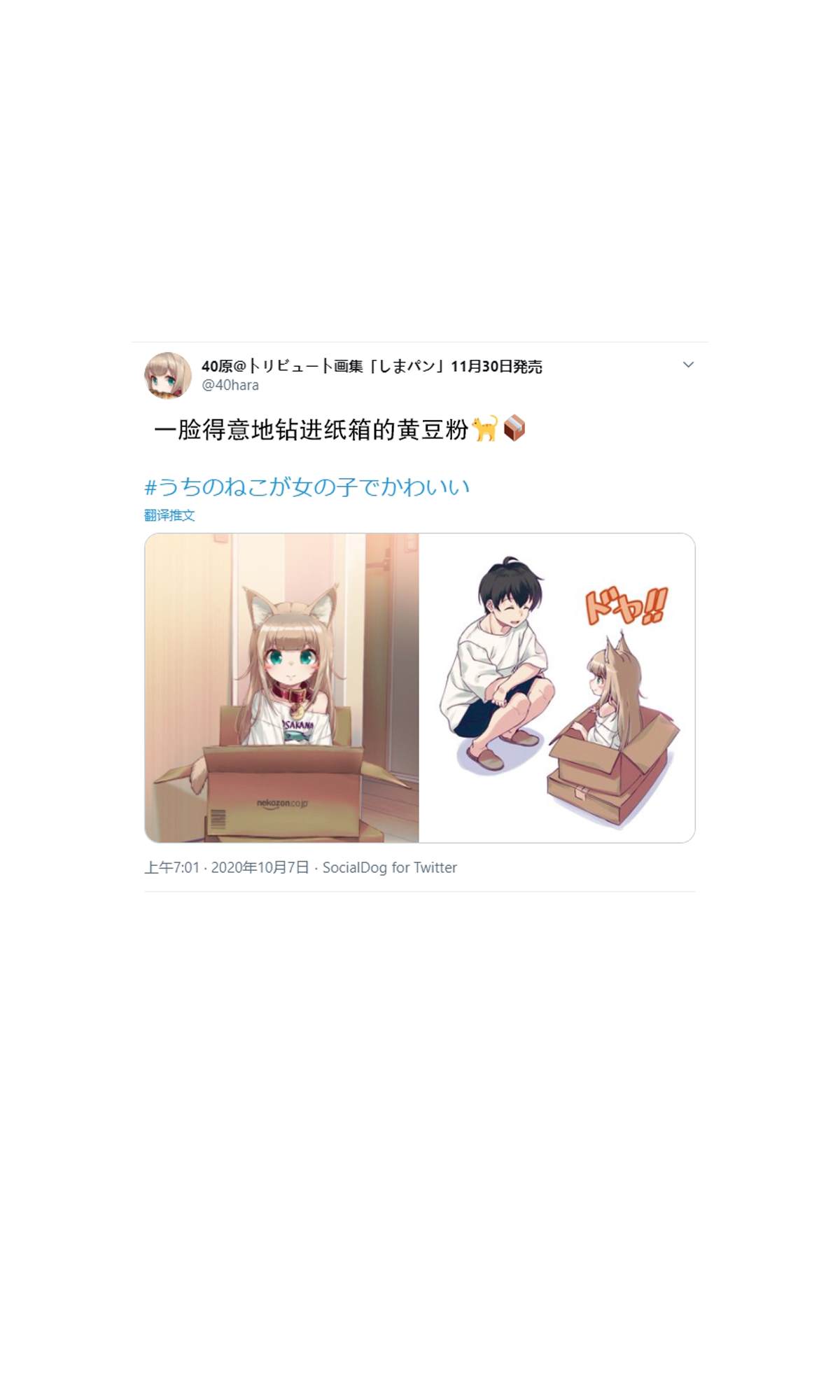 我家的猫猫是可爱的女孩子免费漫画,杂图63图