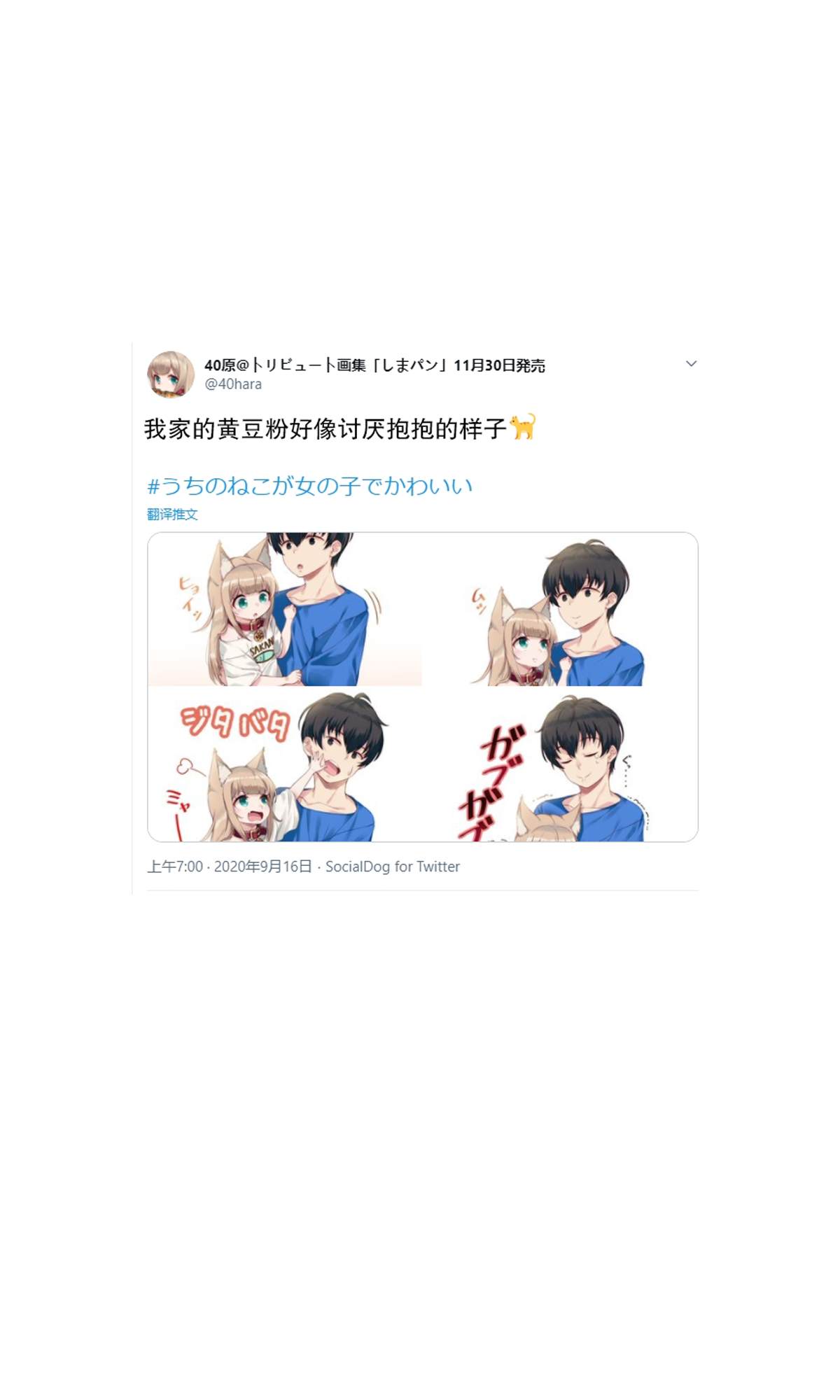 我家的猫猫是可爱的女孩子免费漫画,杂图62图