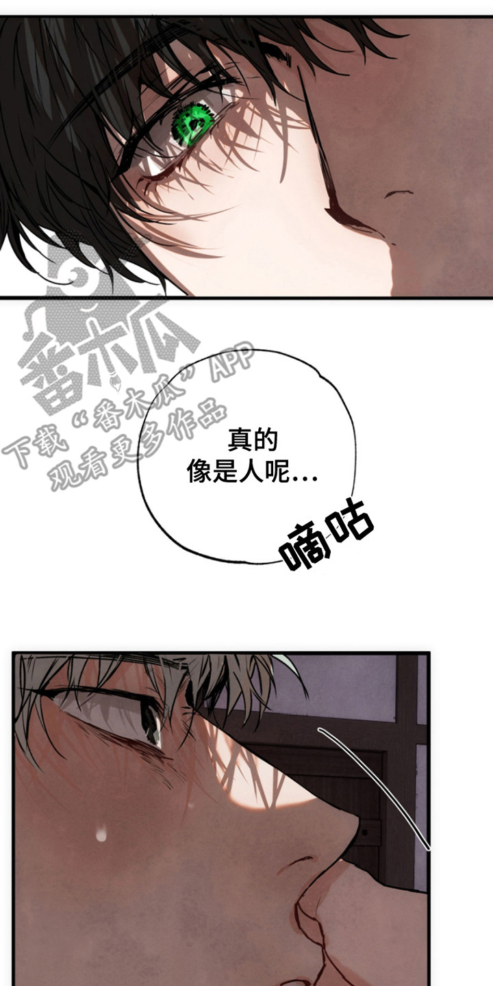 信徒圣痕眼睛漫画,第8话3图