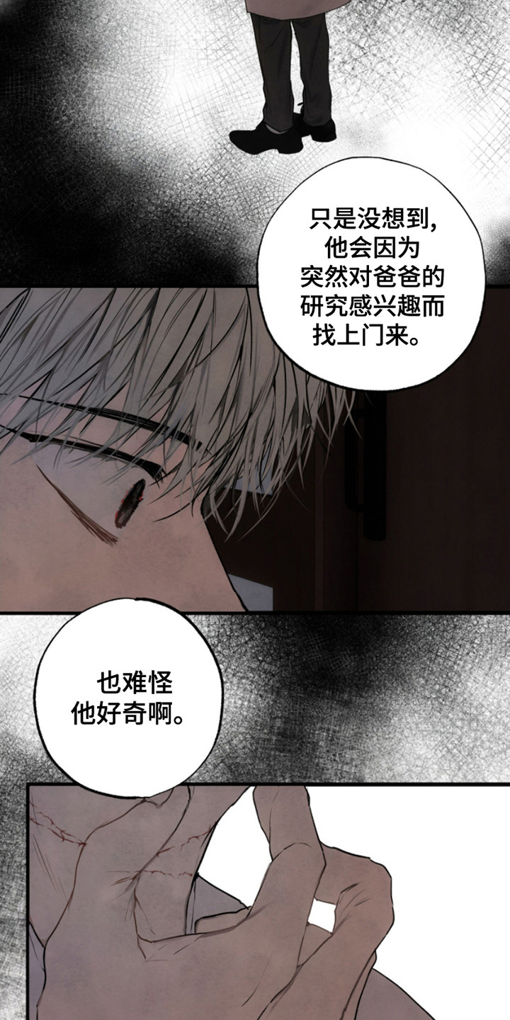 信徒圣痕在哪里看漫画,第10话4图