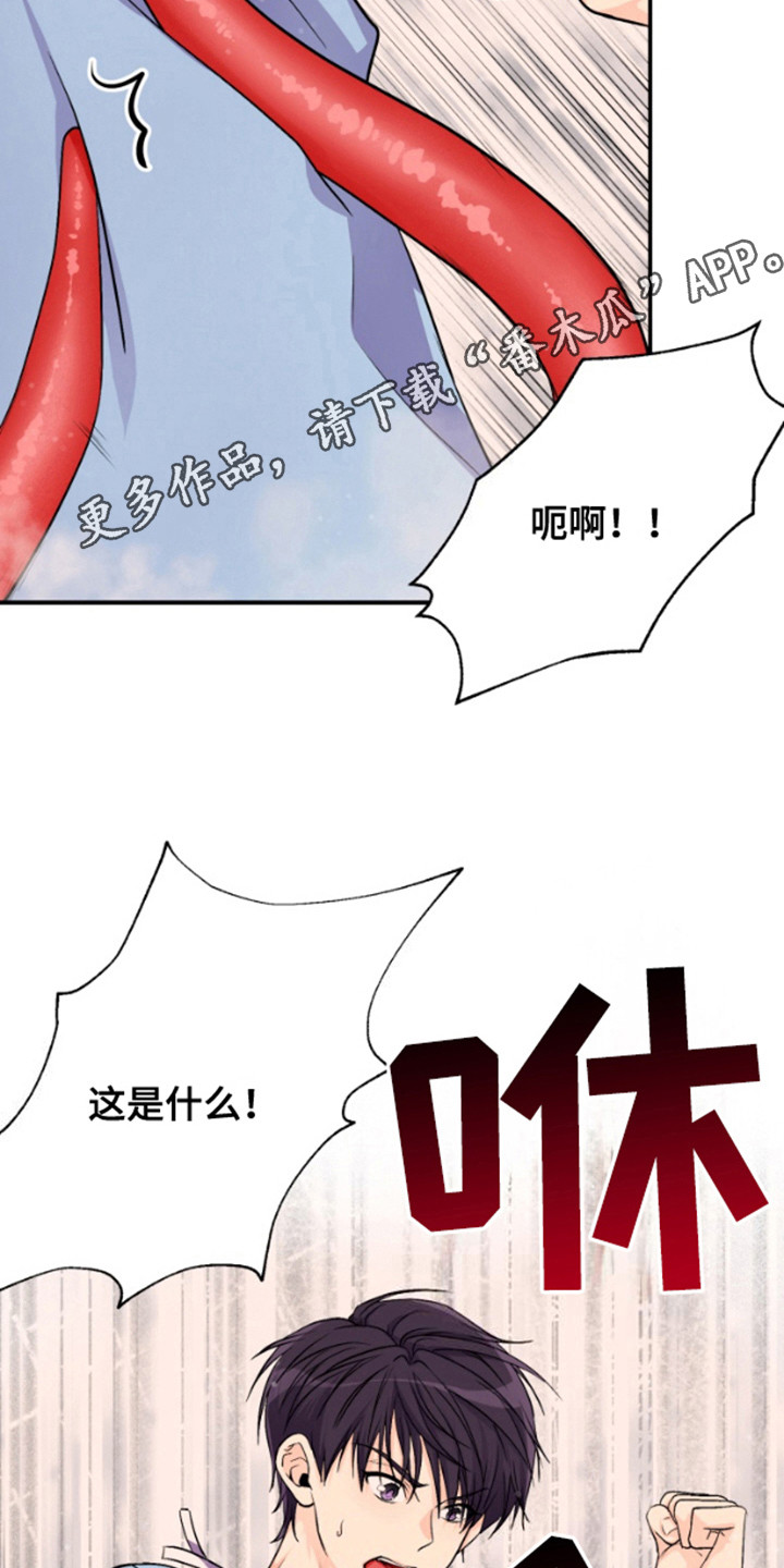 柔软实验漫画,第4话5图