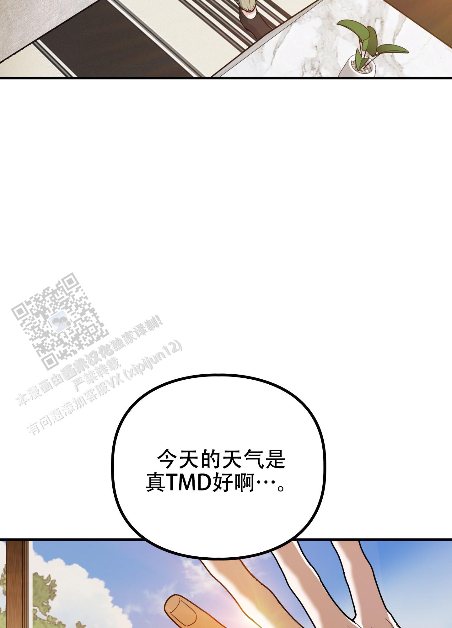 狡猾阿尔法漫画,第5话1图