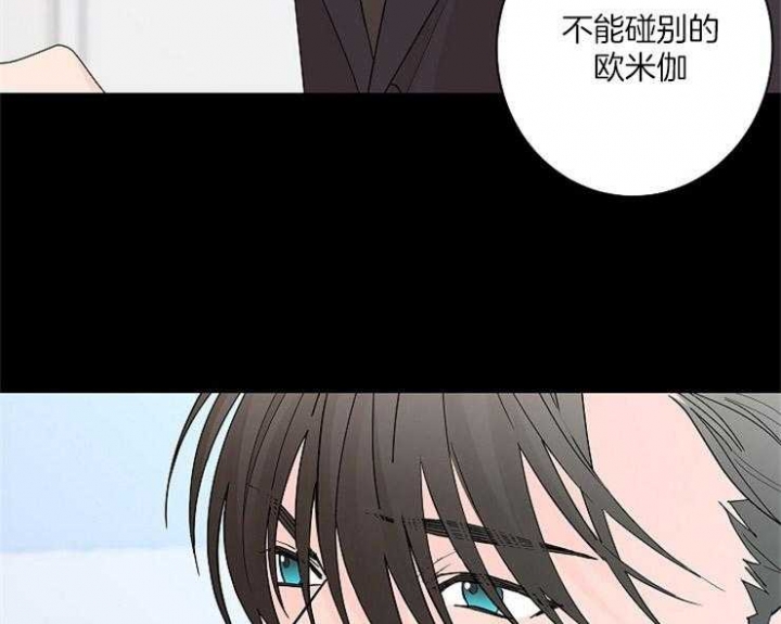 炒过的豆子会发芽吗漫画,第3话1图