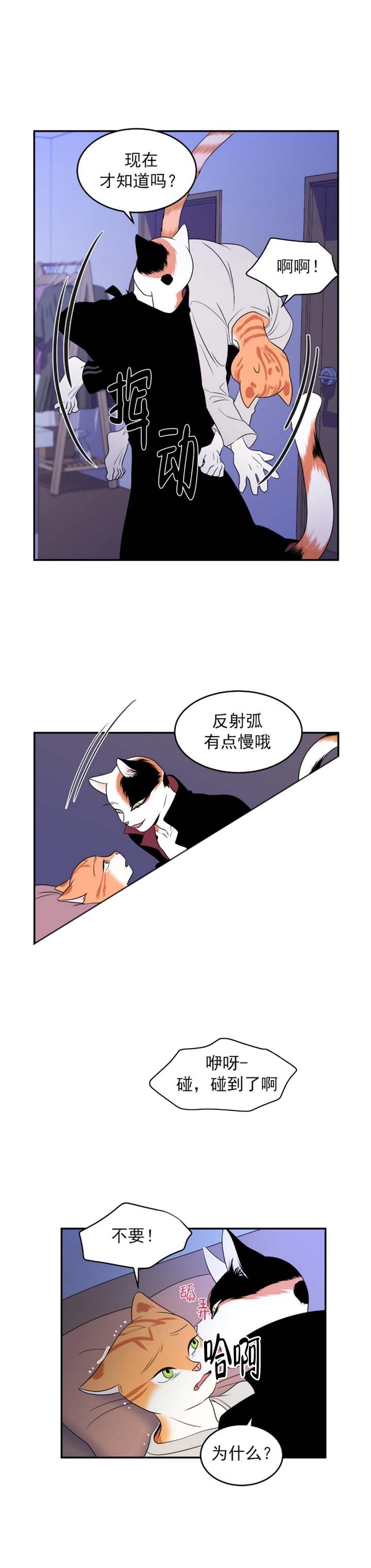 蓝色计划音乐漫画,第3话1图