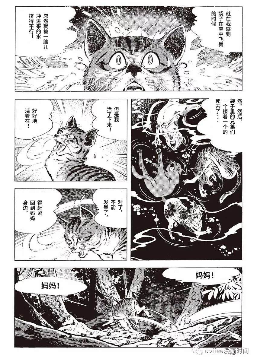 罚猫的梦想漫画,第1话4图