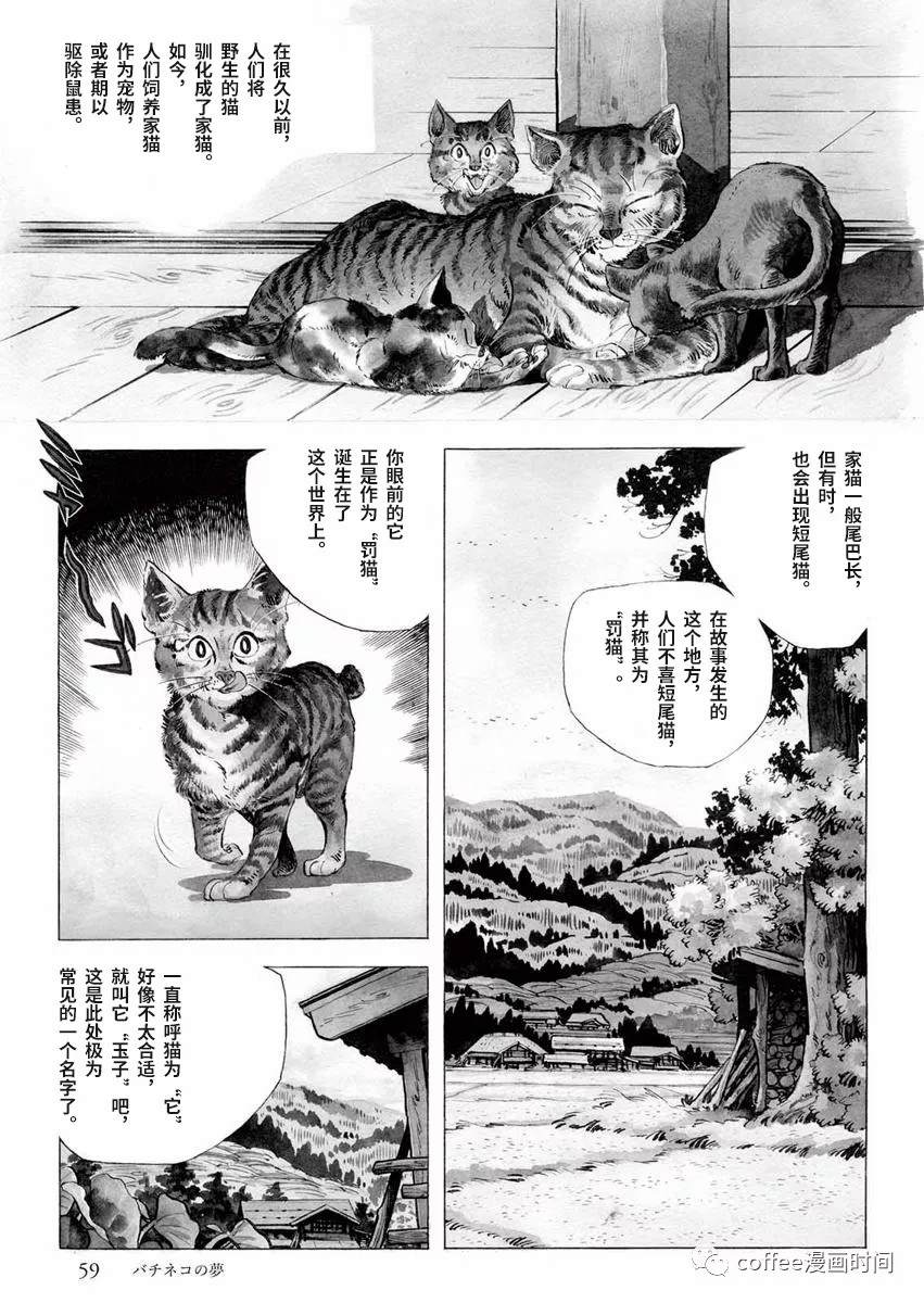 罚猫的梦想漫画,第1话1图