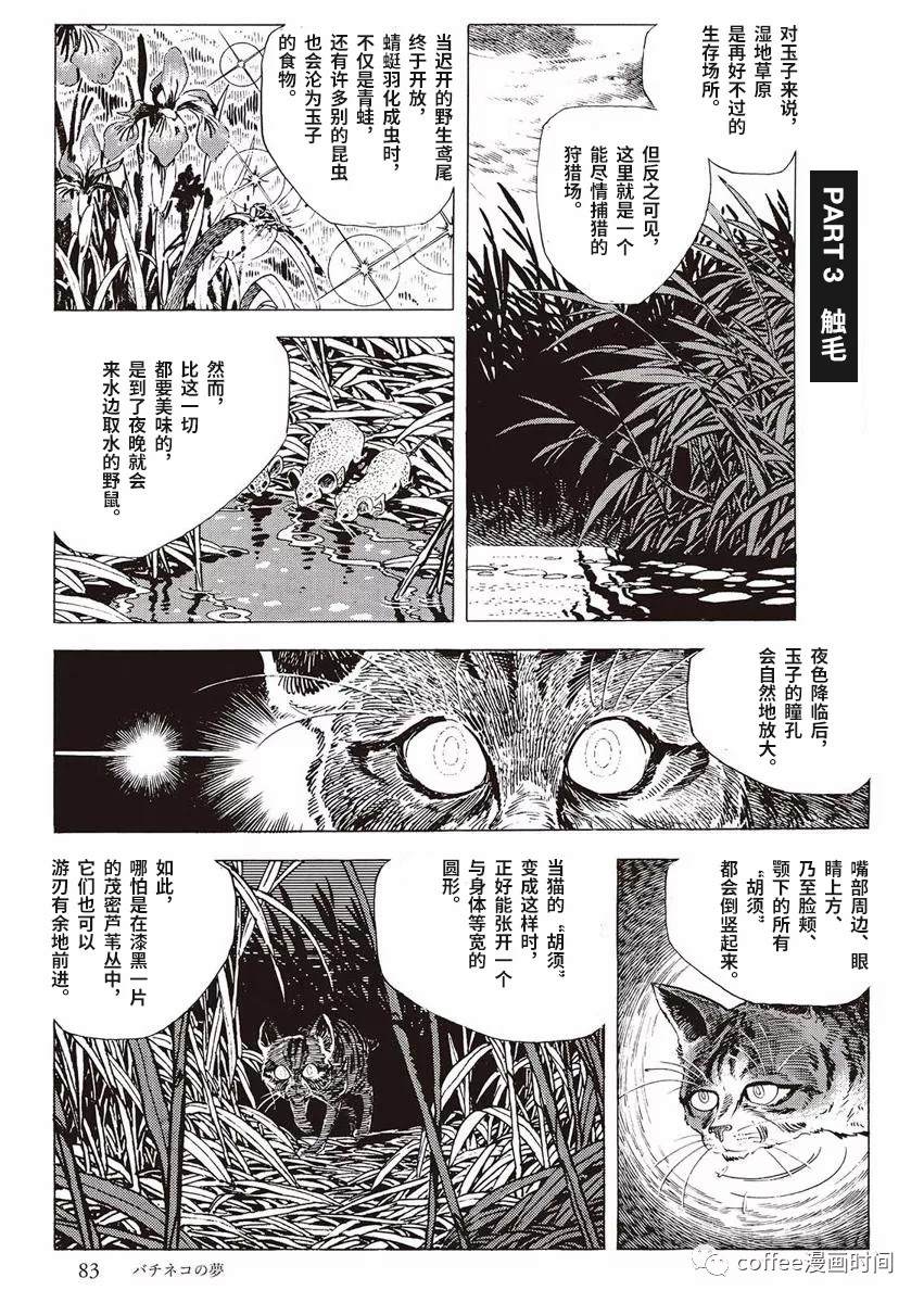 罚猫的梦想漫画,第1话5图