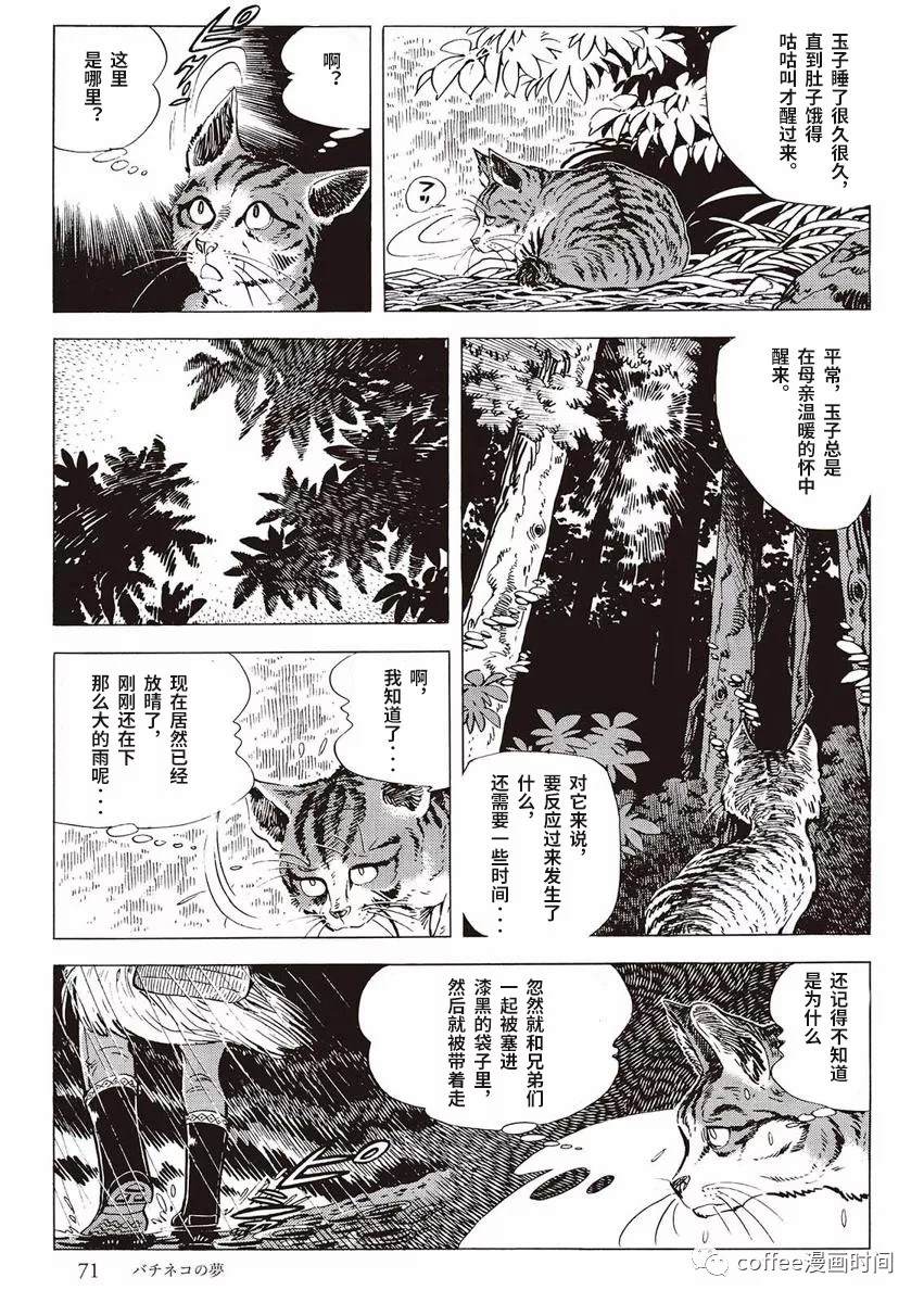 罚猫的梦想漫画,第1话3图