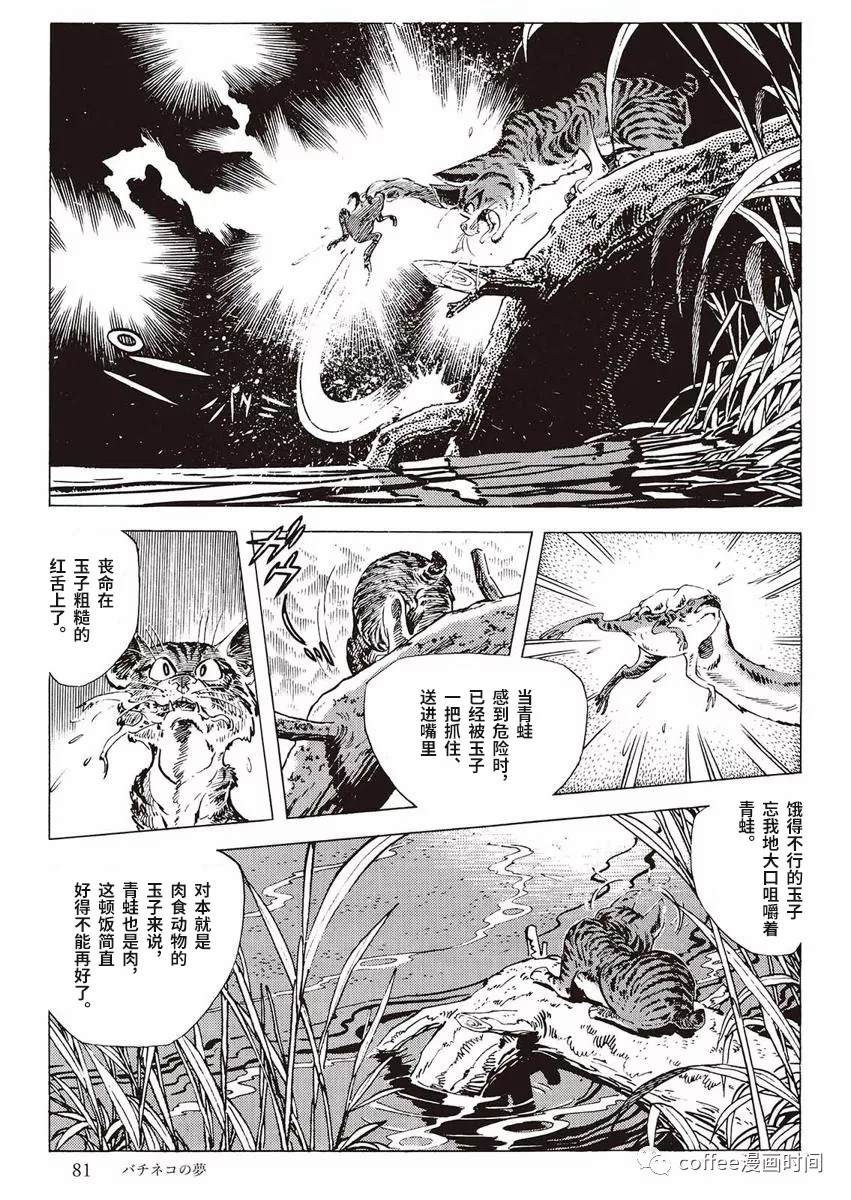 罚猫的梦想漫画,第1话3图