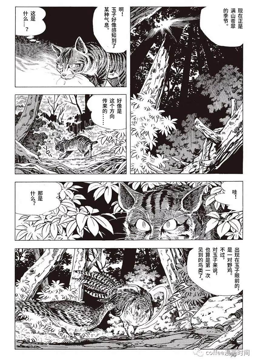 罚猫的梦想漫画,第1话2图