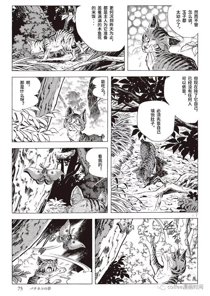 罚猫的梦想漫画,第1话2图