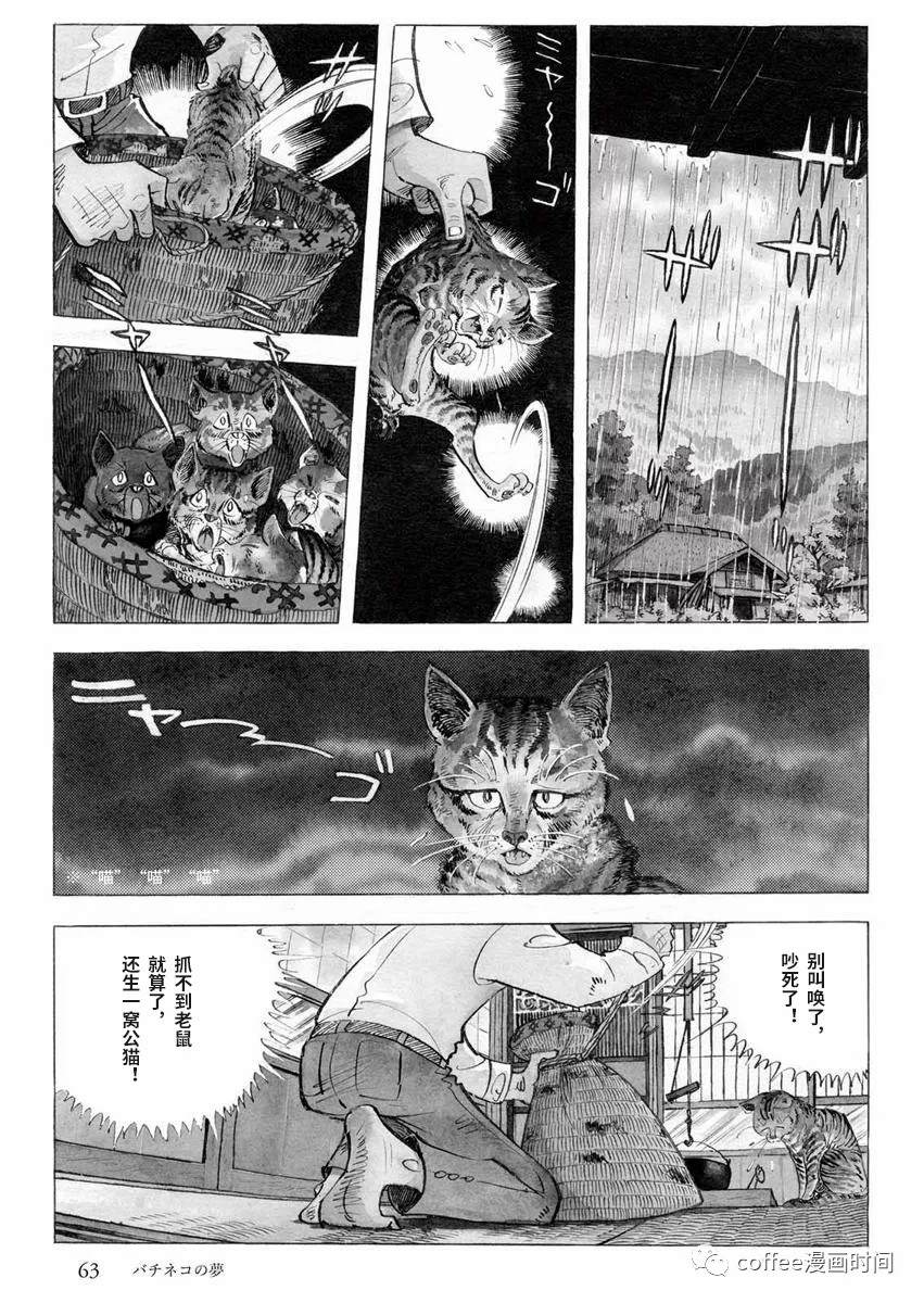 罚猫的梦想漫画,第1话5图