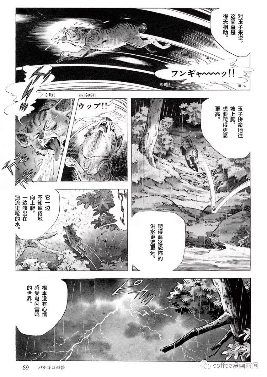 罚猫的梦想漫画,第1话1图