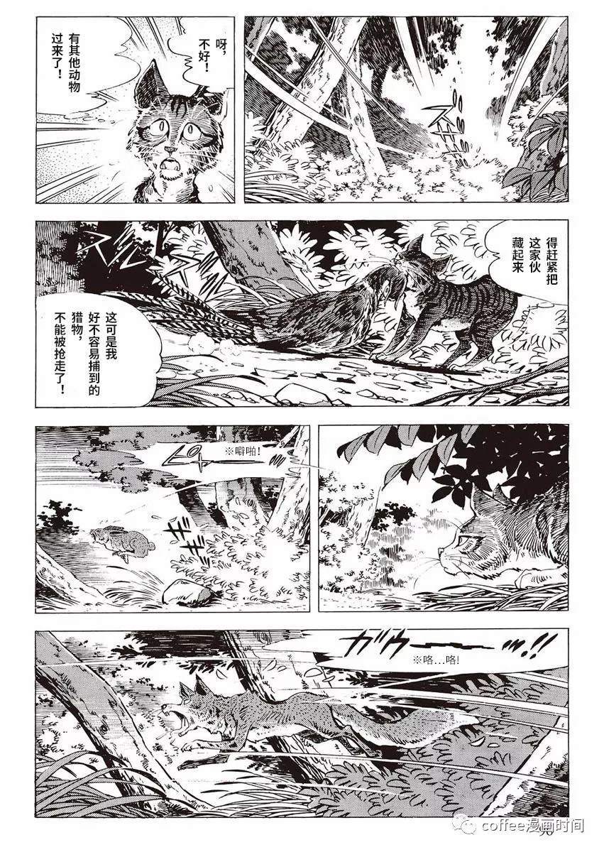 罚猫的梦想漫画,第1话3图