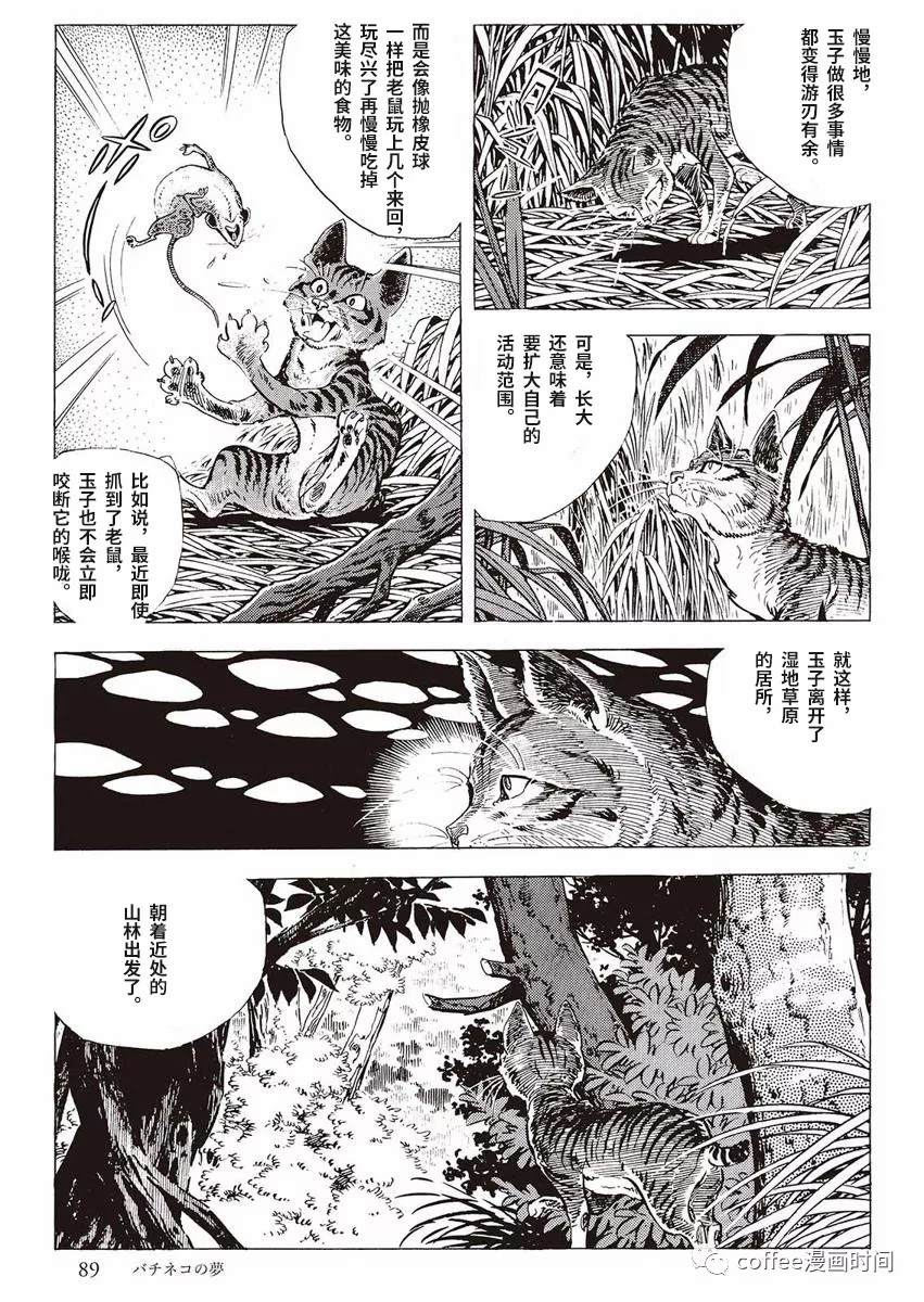 罚猫的梦想漫画,第1话1图