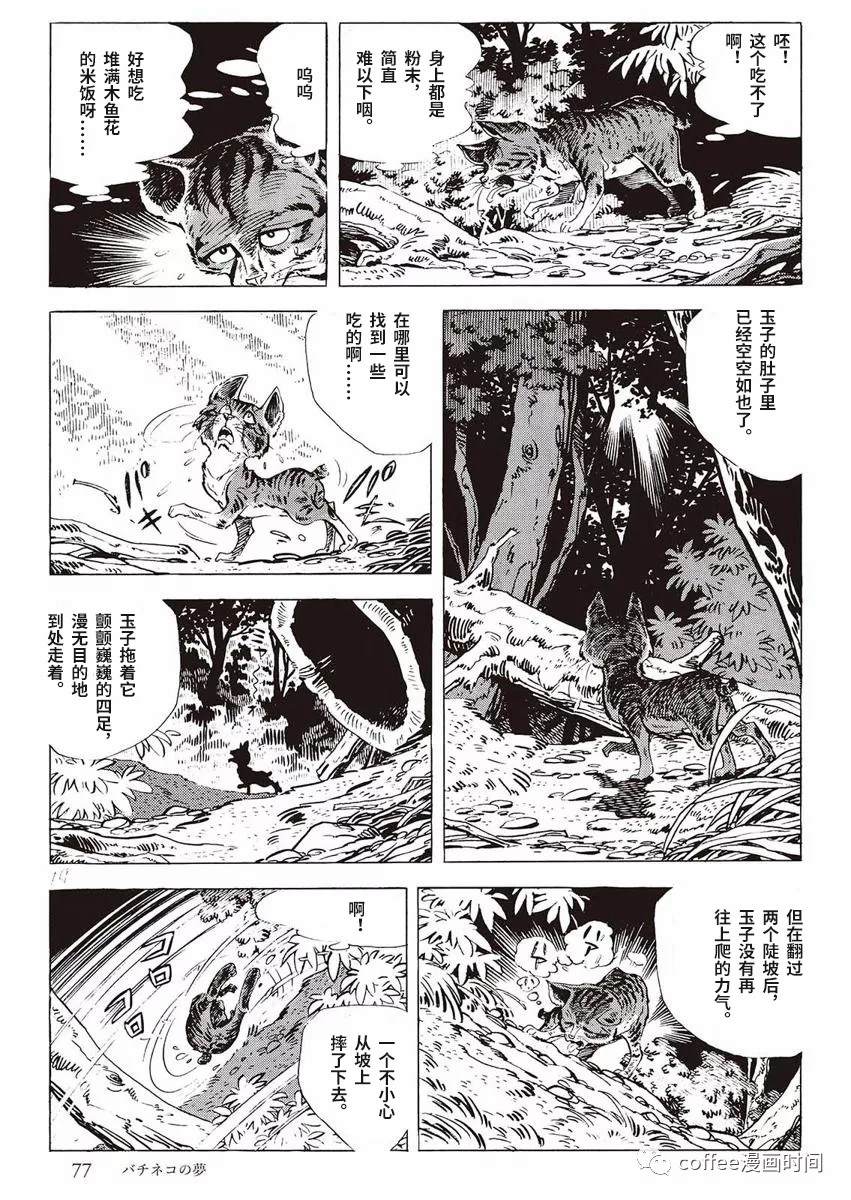 罚猫的梦想漫画,第1话4图