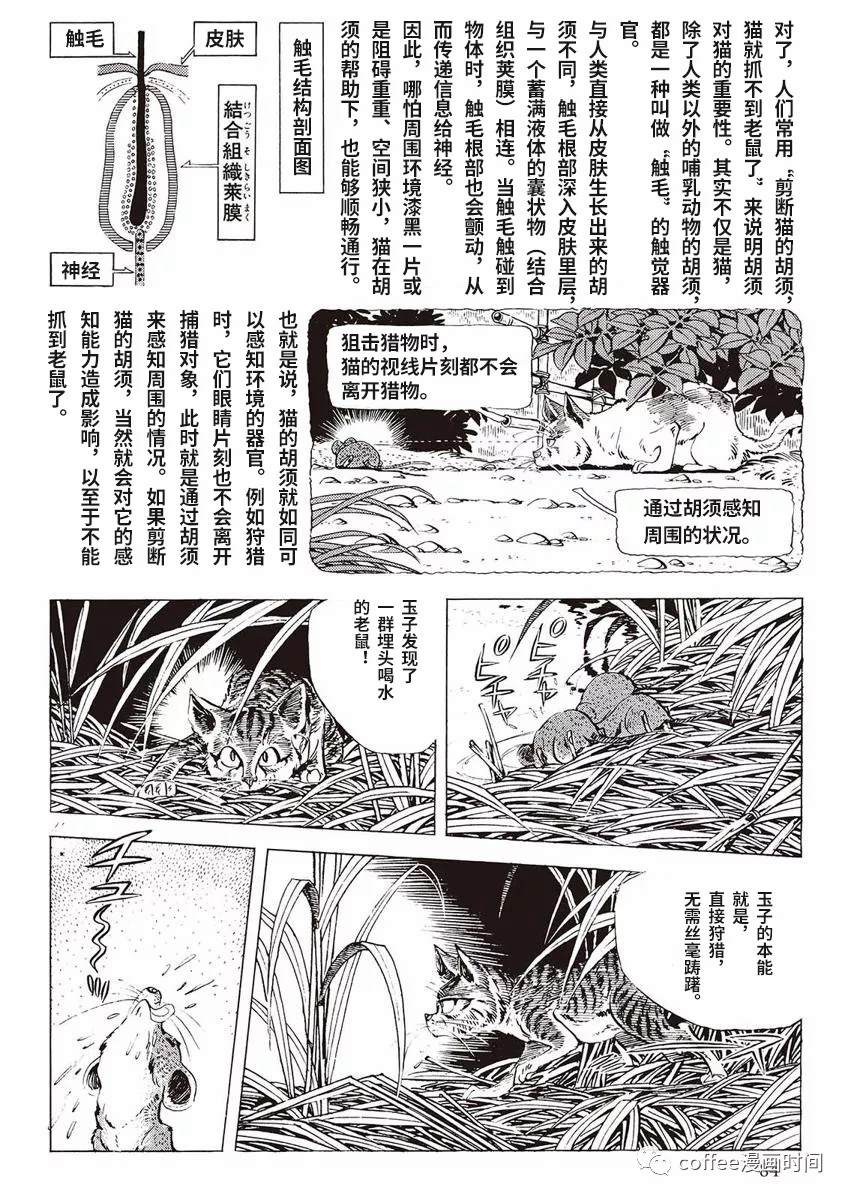 罚猫的梦想漫画,第1话1图