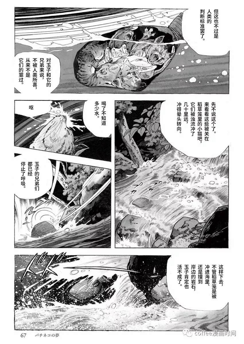 罚猫的梦想漫画,第1话4图