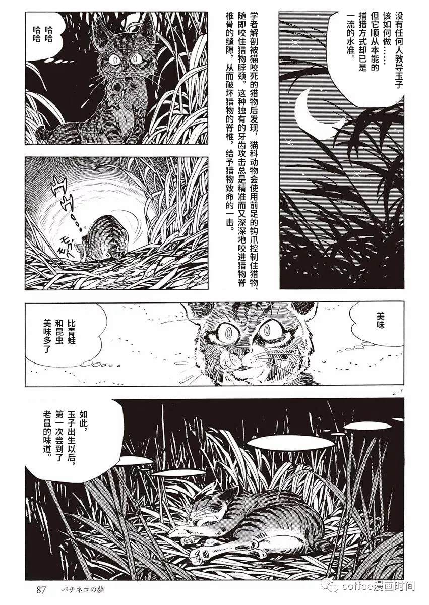 罚猫的梦想漫画,第1话4图