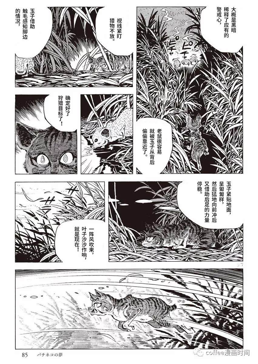 罚猫的梦想漫画,第1话2图