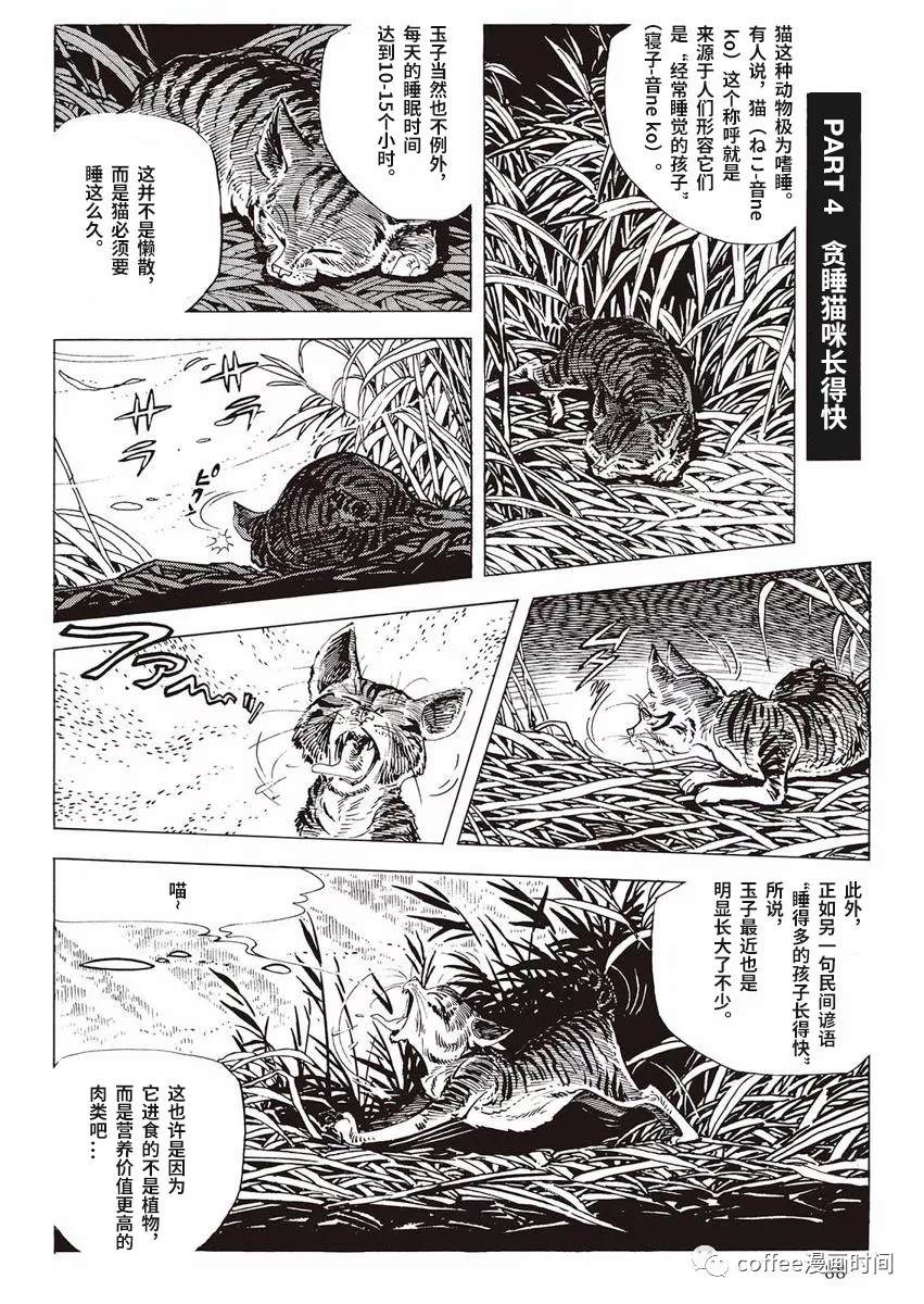 罚猫的梦想漫画,第1话5图