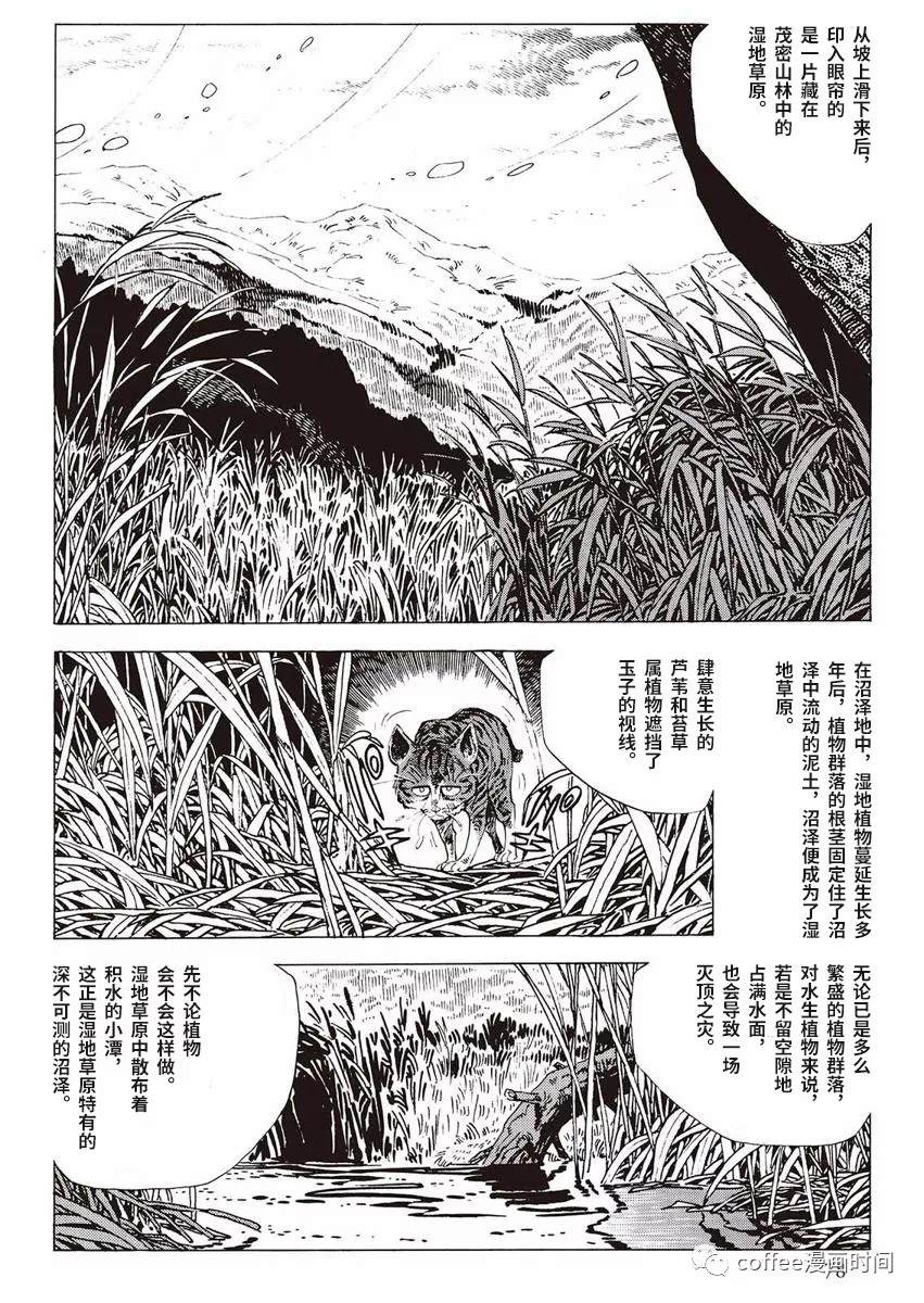 罚猫的梦想漫画,第1话5图