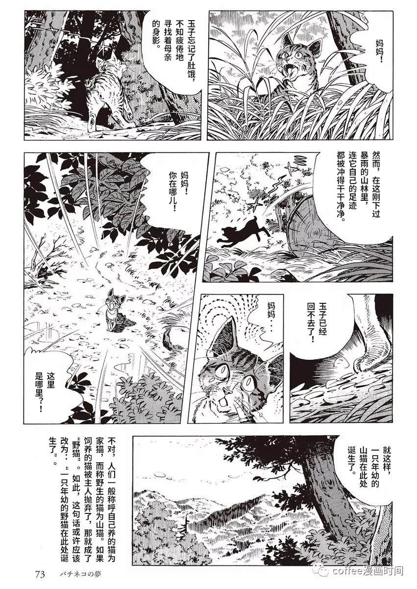 罚猫的梦想漫画,第1话5图