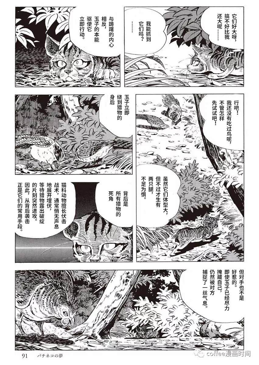 罚猫的梦想漫画,第1话3图