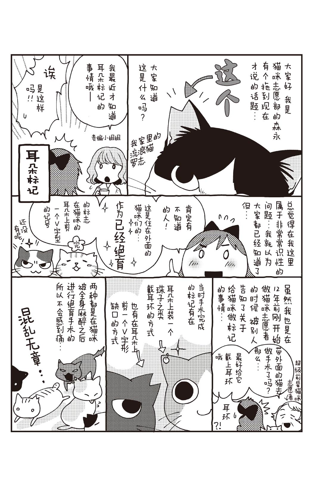 猫咪志愿部的牛奶小姐漫画,番外021图