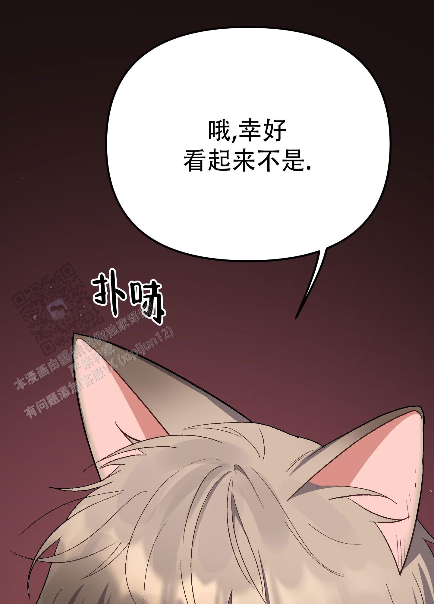 兔子与猫小说免费阅读漫画,第7话5图