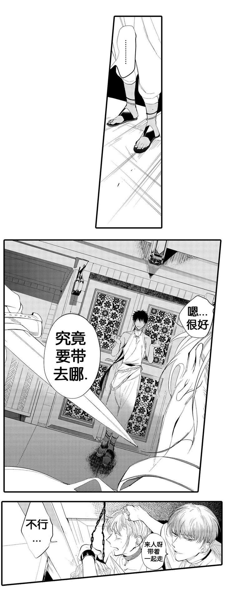 撒哈拉沙漠的鸵鸟漫画,第2话5图