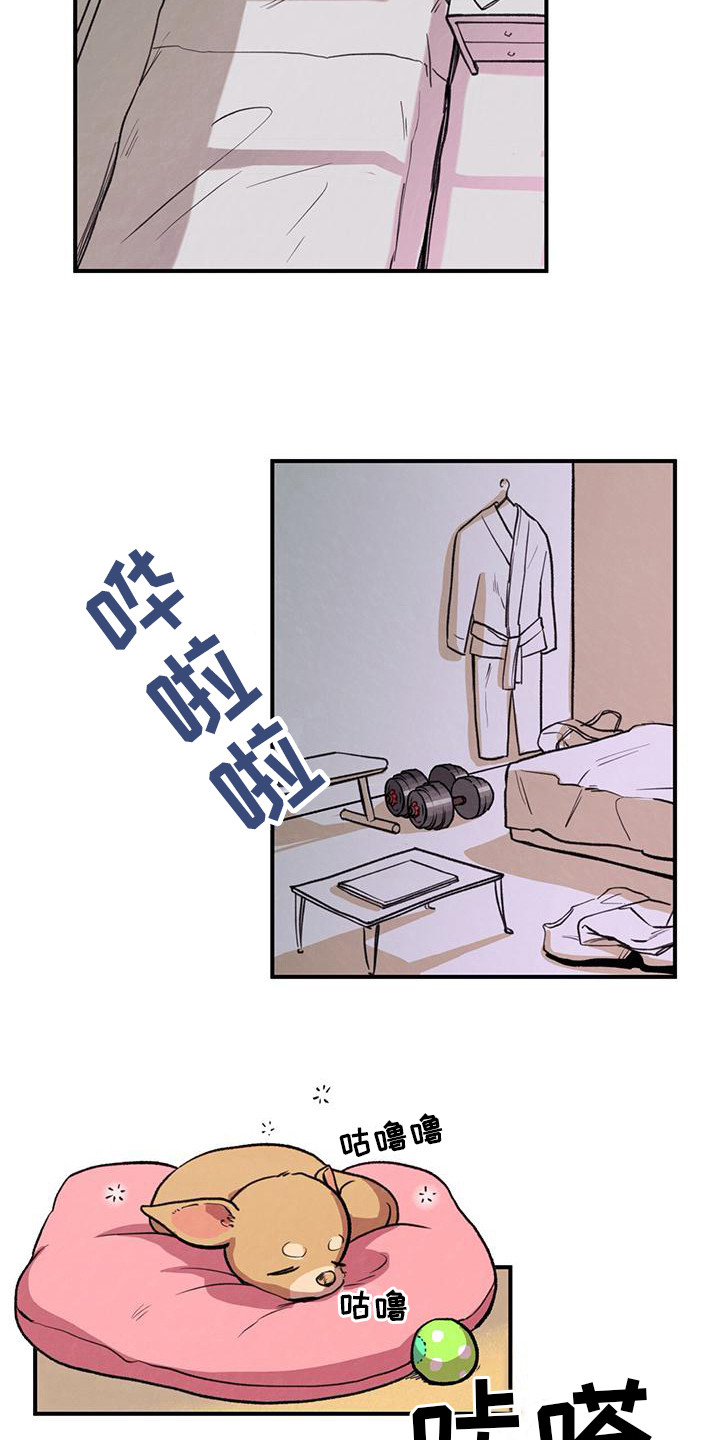 蜂蜜熊漫画,第3话2图