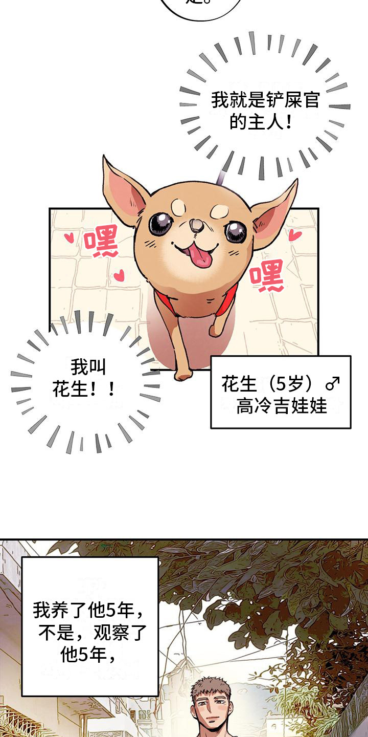 蜂蜜熊猕猴桃漫画,第1话4图