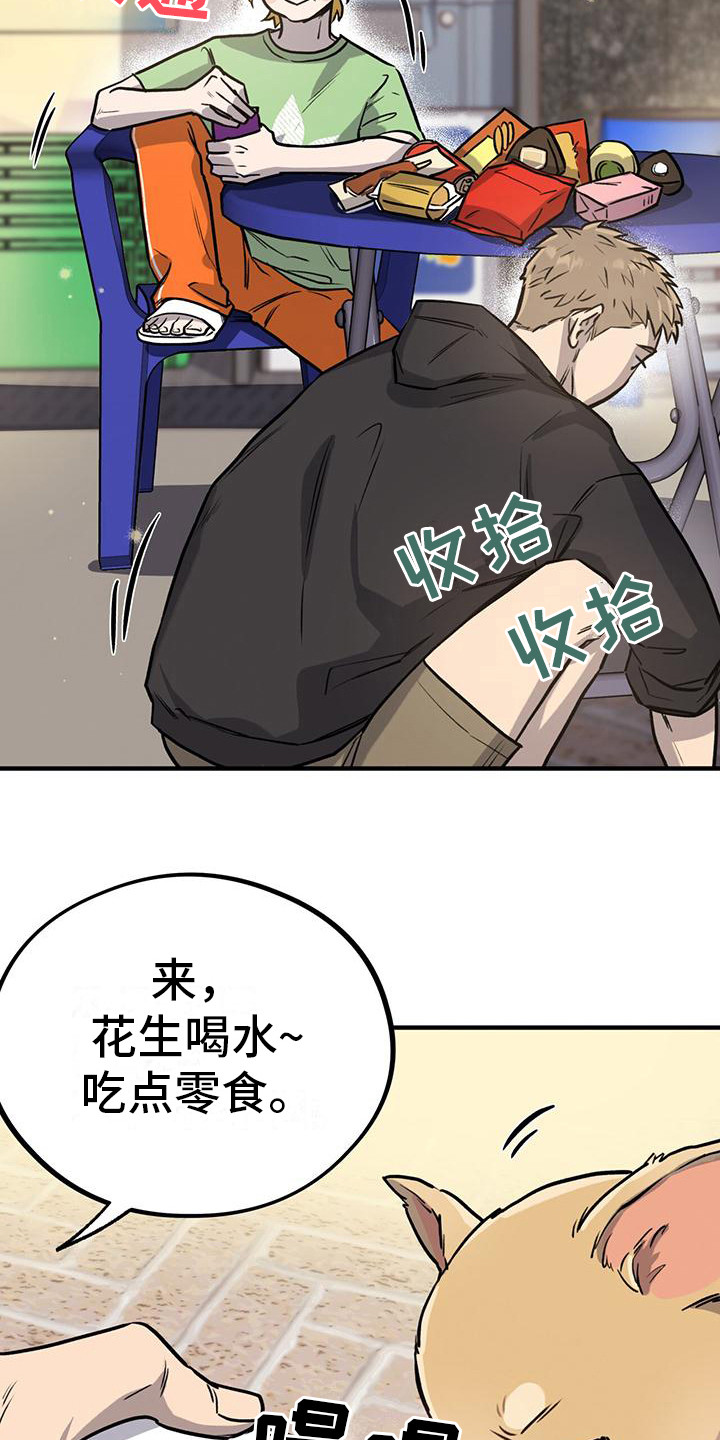 蜂蜜熊图片可爱漫画,第9话5图