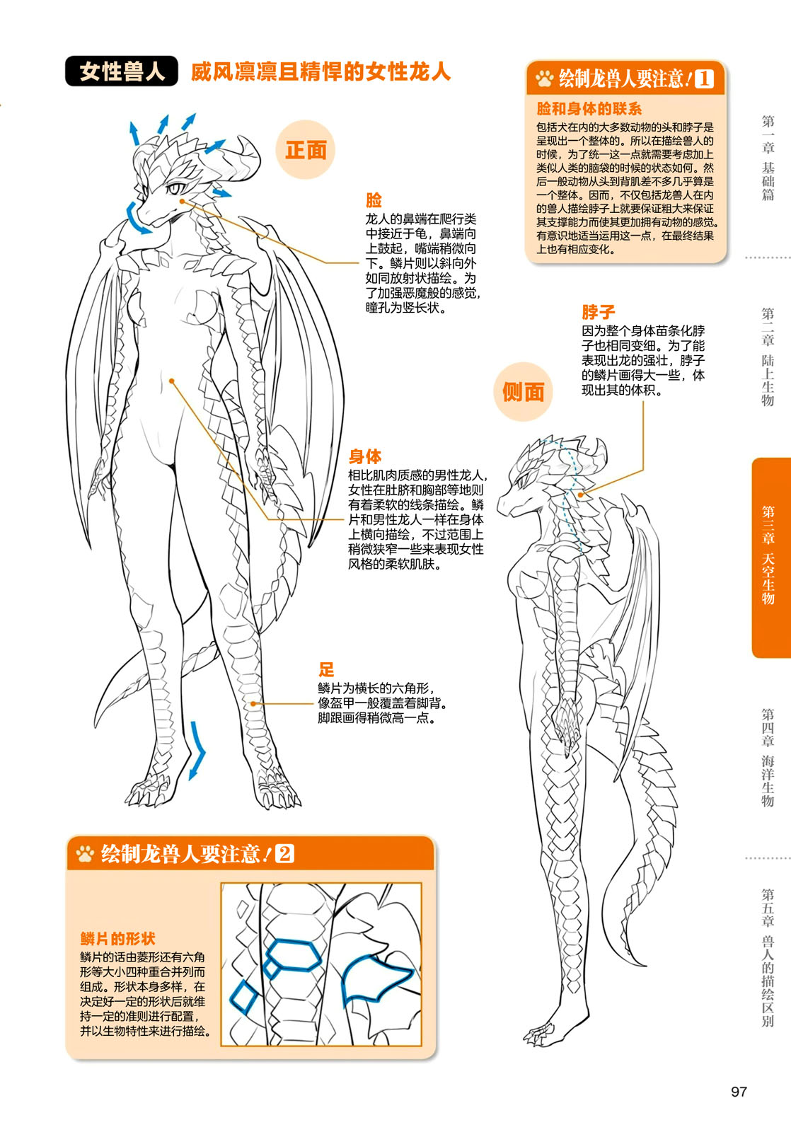 兽人的描绘方法 -从真实系兽人到抽象系兽人漫画,第3.2话天空生物龙兽人的描绘方法2图