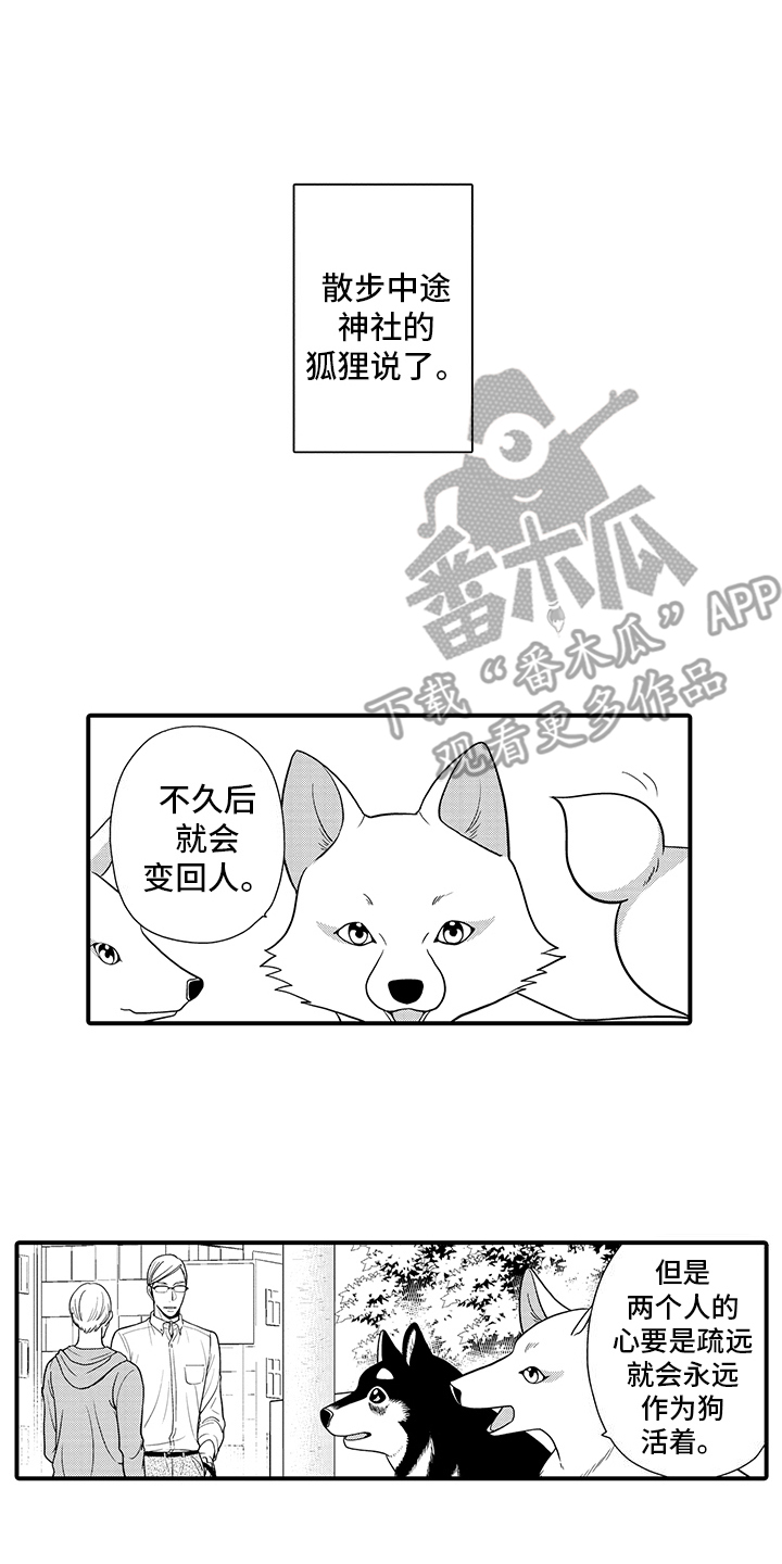 毛茸茸的猫漫画,第9话1图