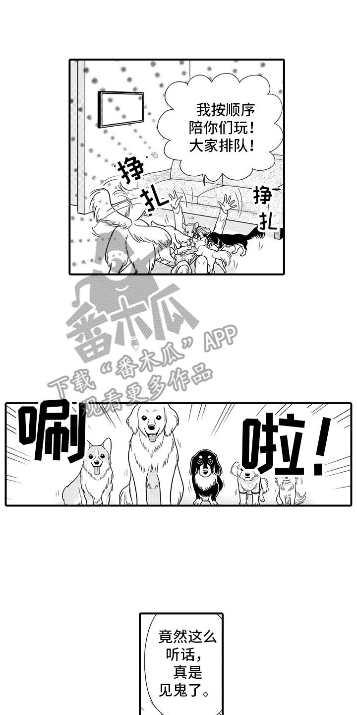 毛茸茸的猫漫画,第6话1图