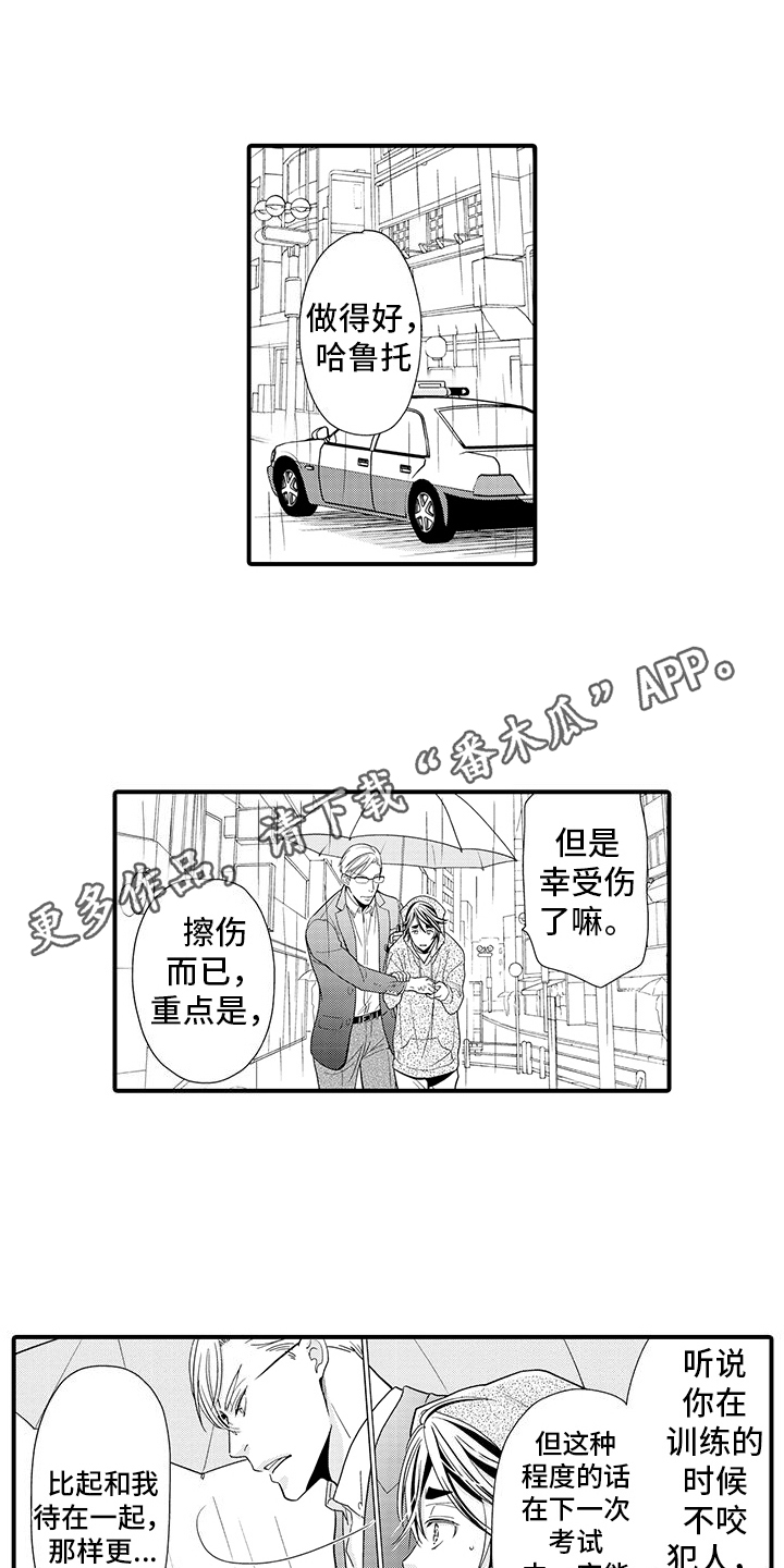 毛茸茸的枝头漫画,第4话1图