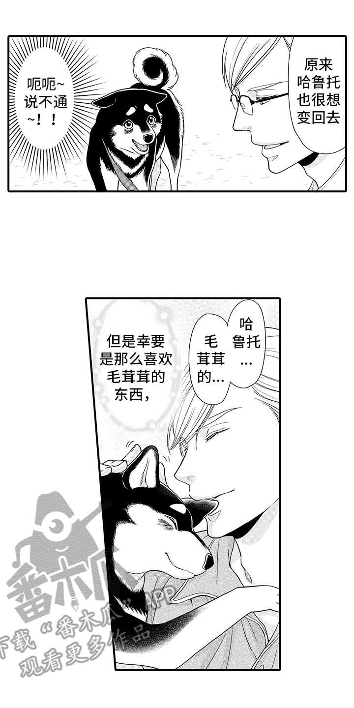 毛茸茸的猫漫画,第9话3图