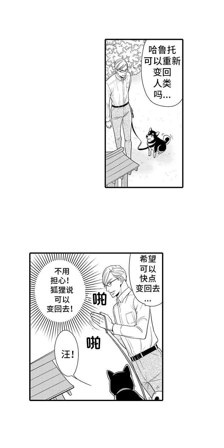 毛茸茸的猫漫画,第9话2图