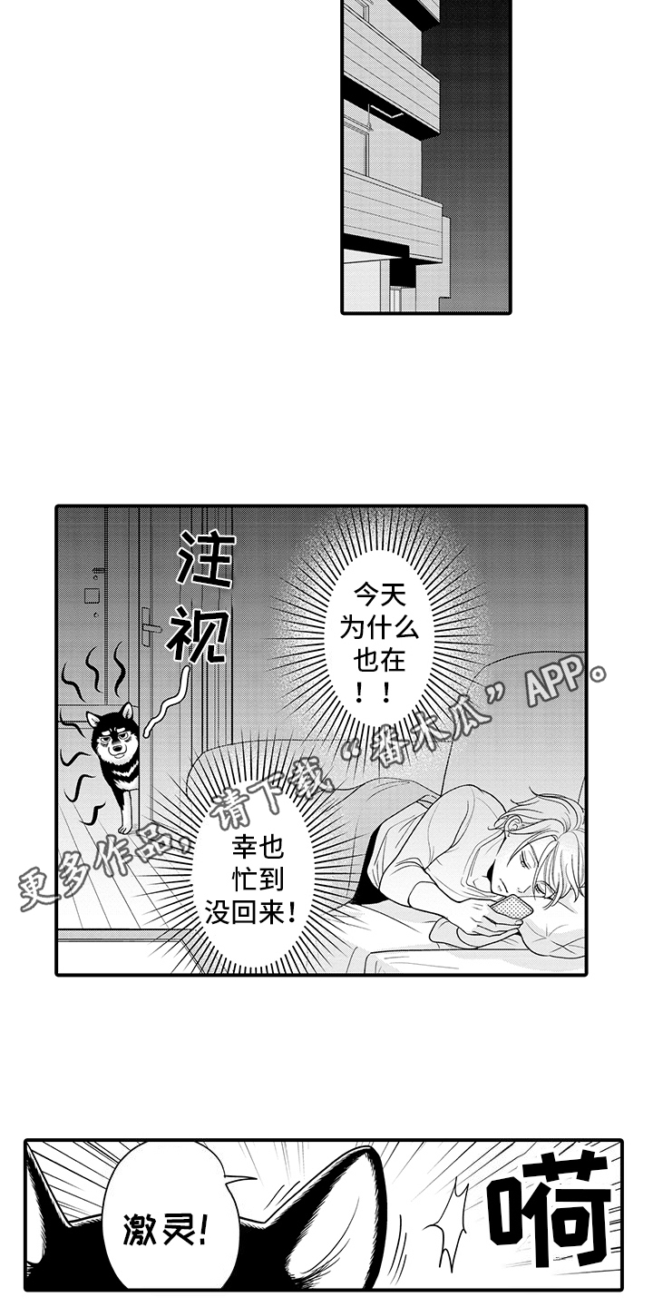 毛茸茸的偏爱漫画,第10话4图